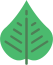 Leaf, environment